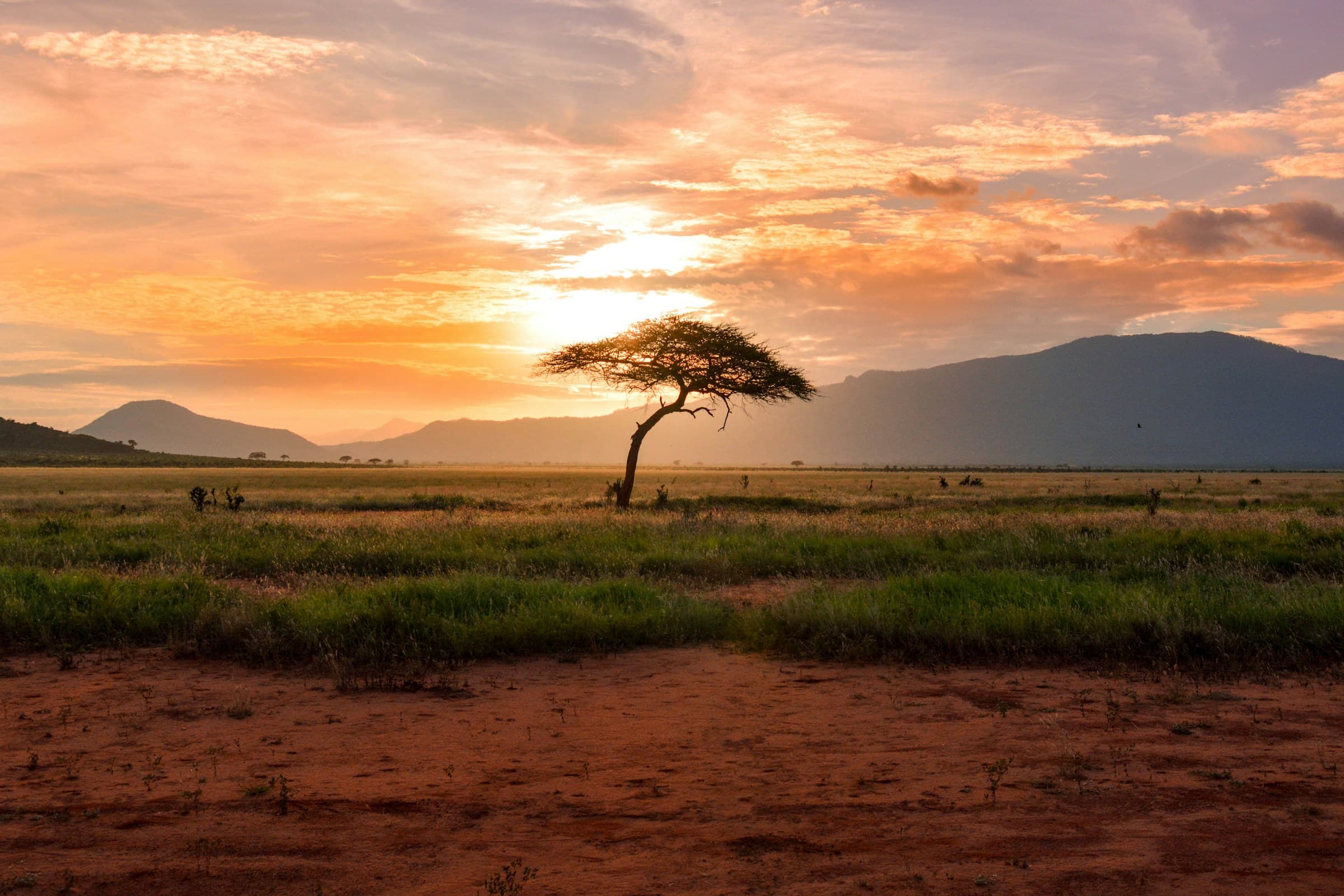 South Africa tourism - 5